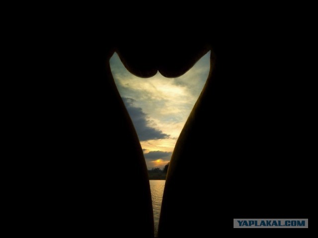 Дивные картинки - 3