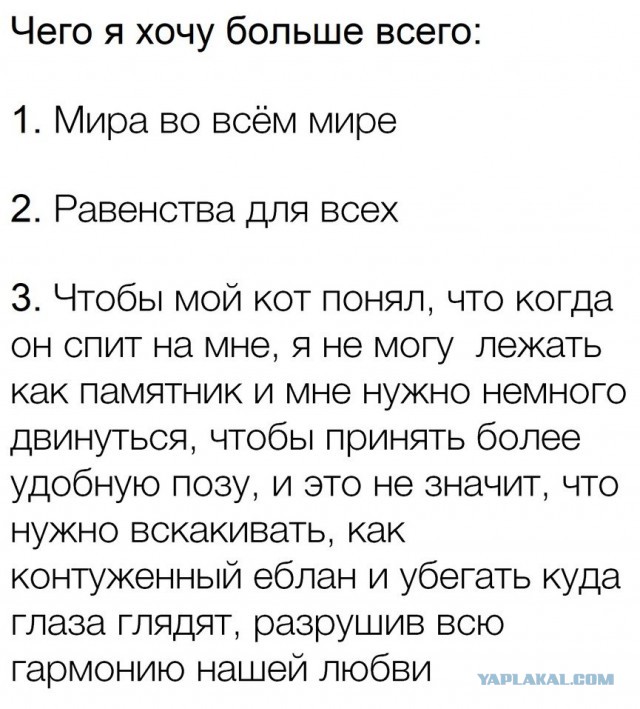 Кривые зеркала