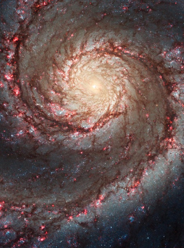 В NASA открыли доступ во всю библиотеку изображений