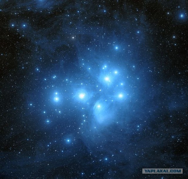 Как были созданы популярные бренды