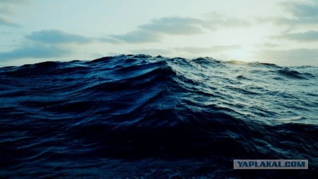 38 дней на шлюпке в океане всей семьей: что помогло выжить после кораблекрушения