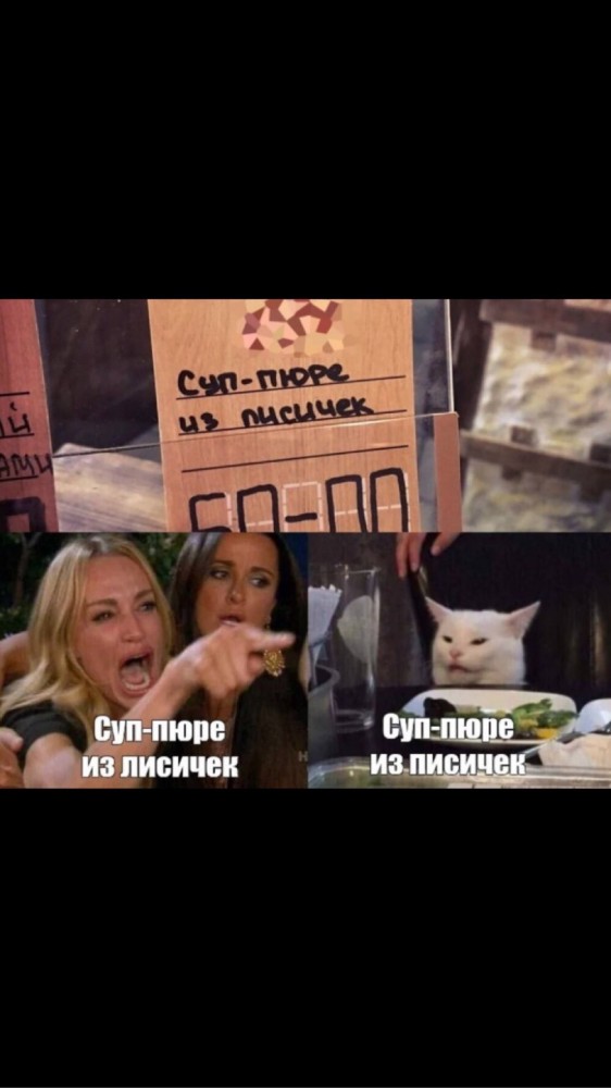 Котовторнику посвящается
