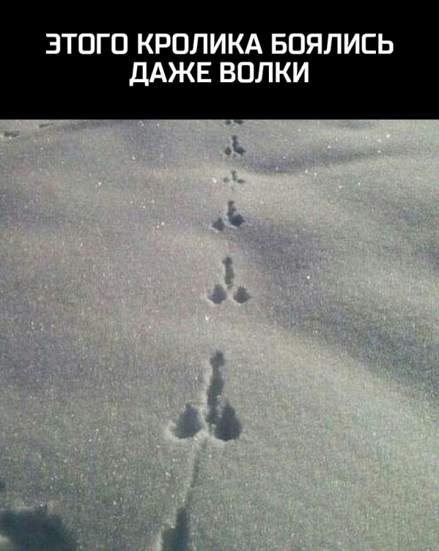 И один в поле воин