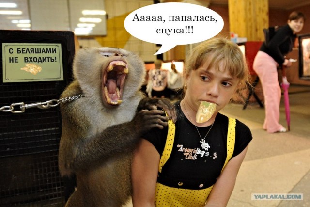 Фотожаба: Не совать!