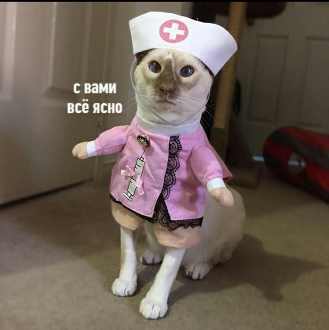 Бари Алибасова экстренно госпитализировали с передозировкой виагры