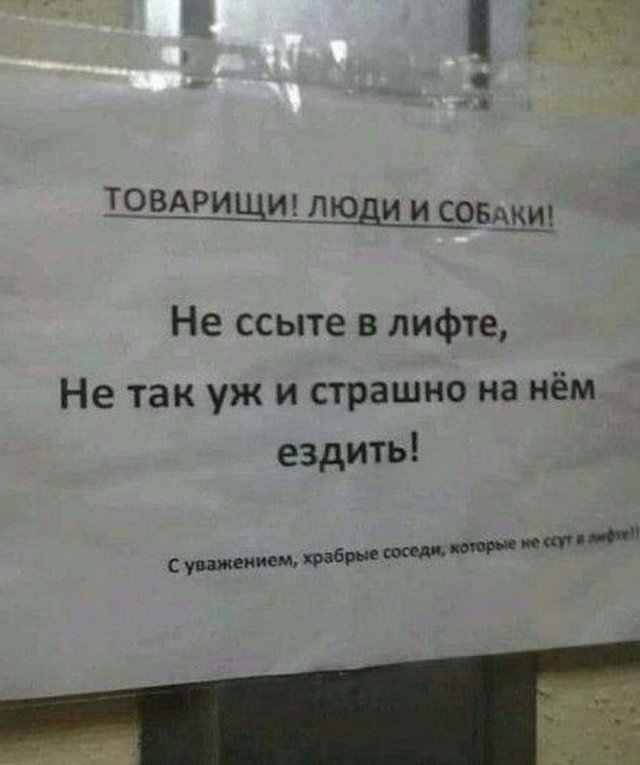 Картинки и мемы для настроения 014