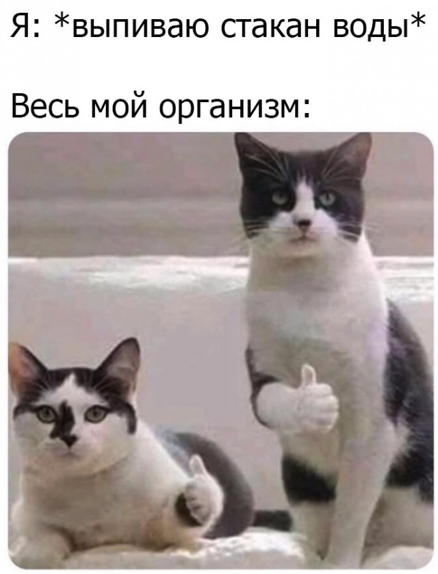 Весёлый полтишок 1.04