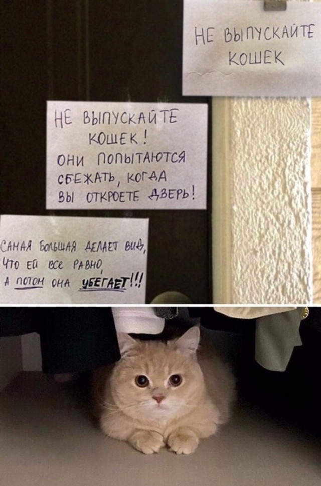 Так себе картинки 19.06.21