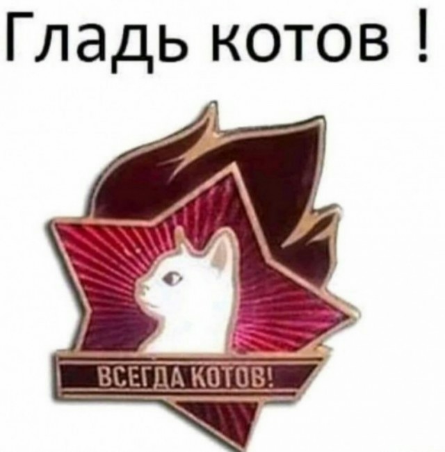Здравствуйте
