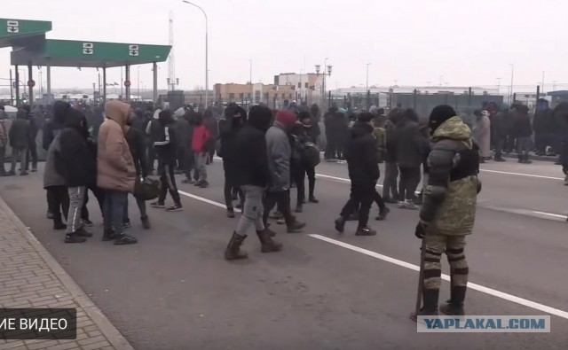Мигранты на польско-бел. границе ломают ограждения и бросают в польских пограничников камни. В ответ летят светошумовые гранаты