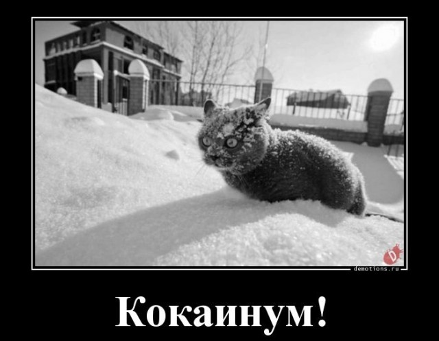 ТП и Майбах