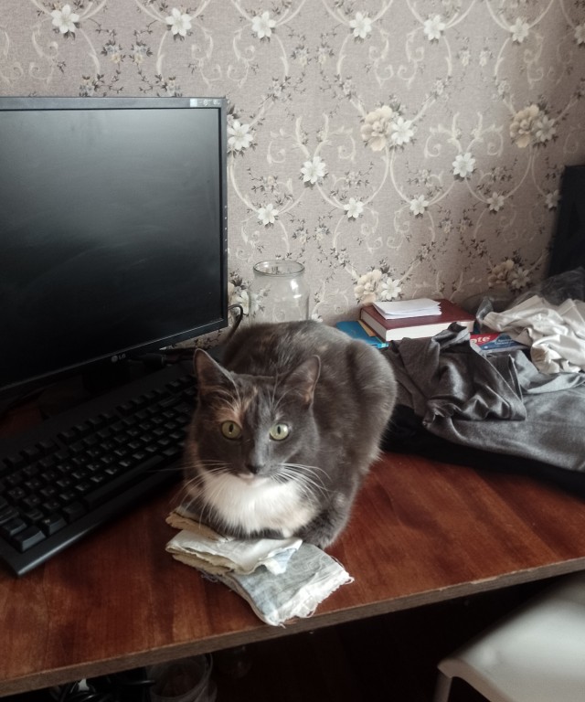 Знакомьтесь Гарыныч!
