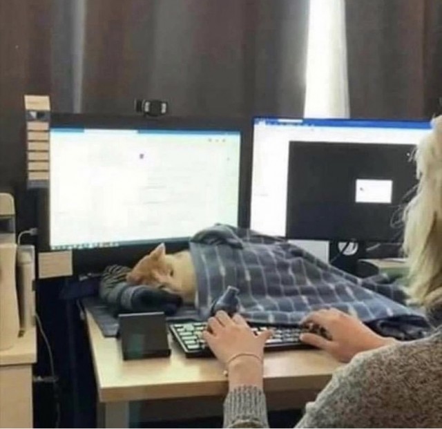 Весёлый полтишок 28.03.22