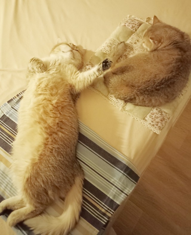 Весёлые картинки 13.04.2022