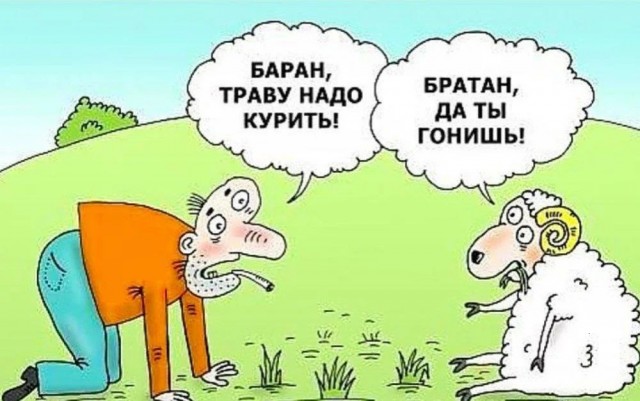 Пандемия. Коронавирус и съехавшие крыши. Россия и мир. Часть 33.