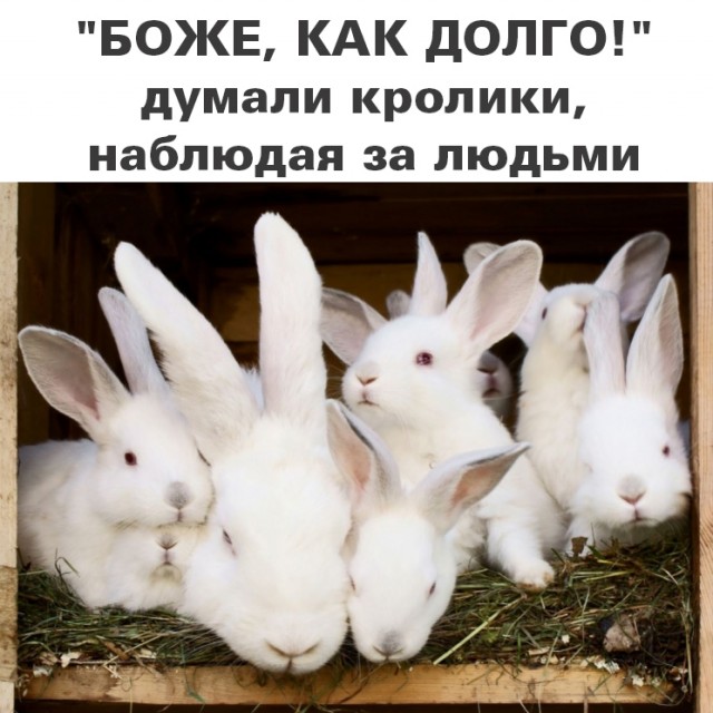 Немного картинок и прочей хреноты Vol. 17