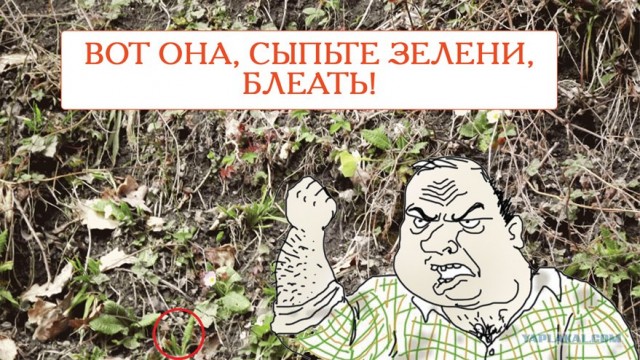 Поход выходного дня...за золотом.