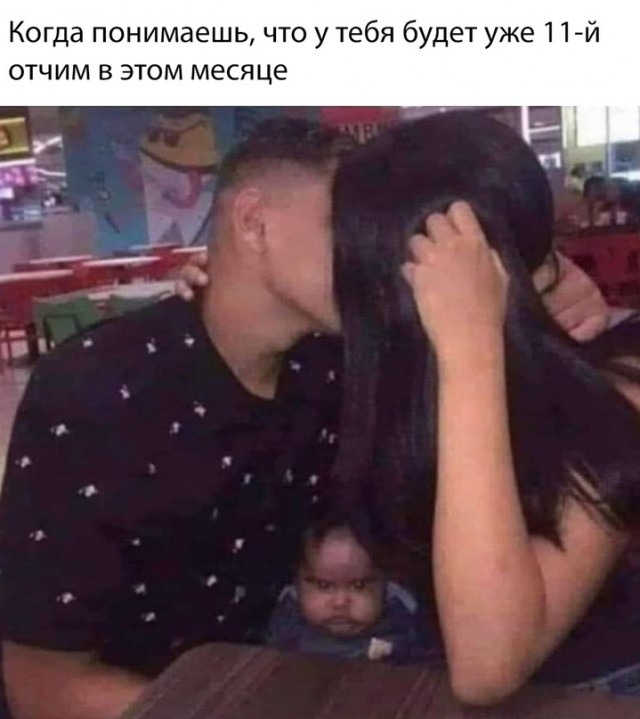 Весёлый полтишок 08.09.22