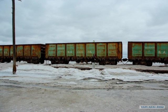 Вот в чем вся соль!