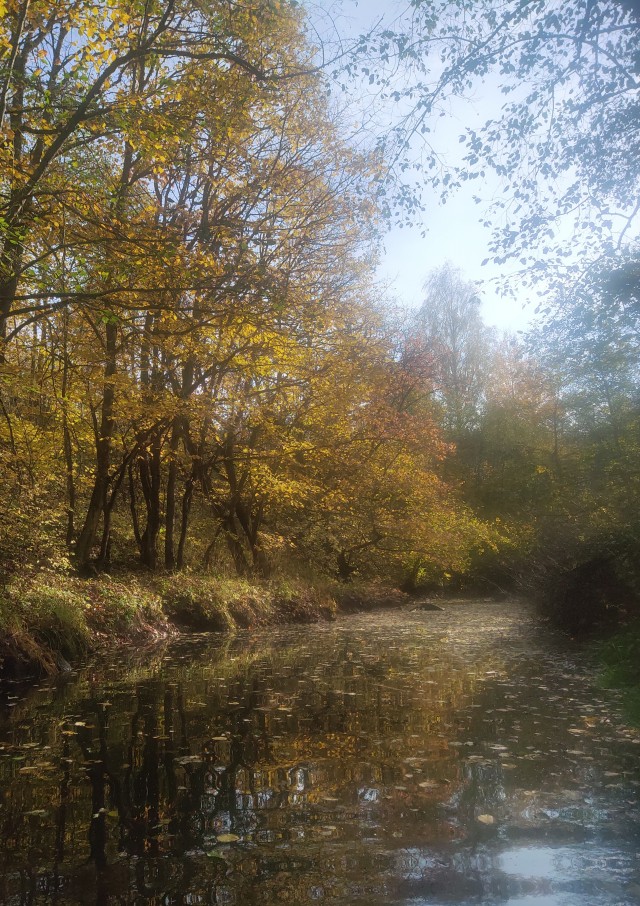 Поделимся красивыми фото с телефона?