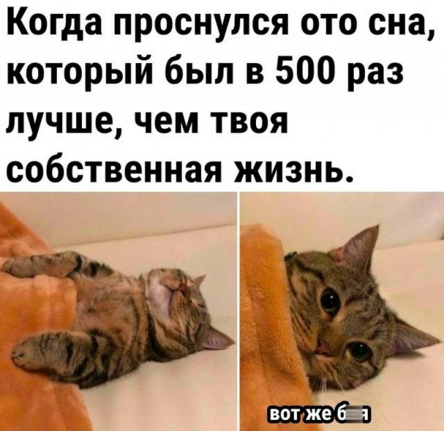 Псто с картинками