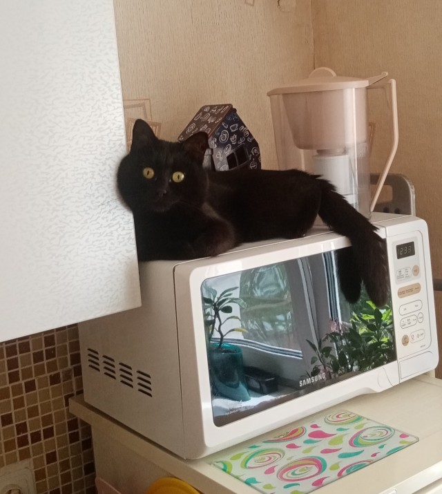 Апельсинка