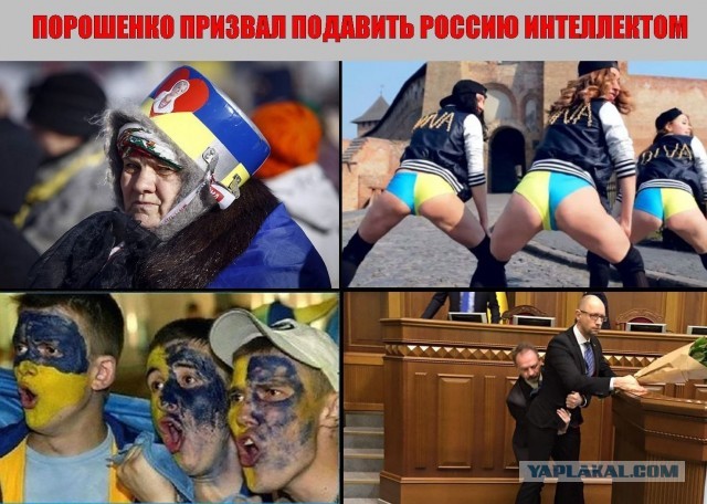 Укр нардеп устроил очередную провокацию в Анкаре