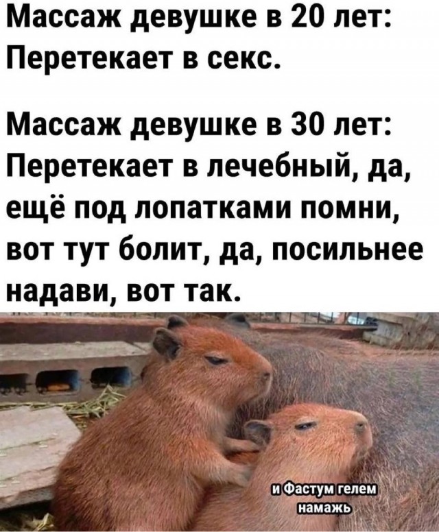 Нуштош 06.07.2023