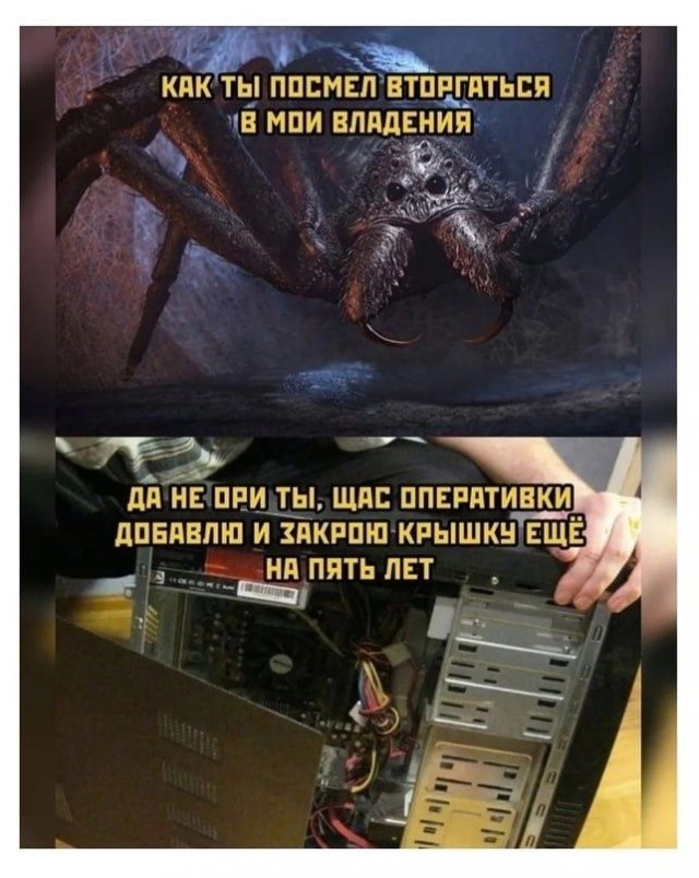 Набор картинок