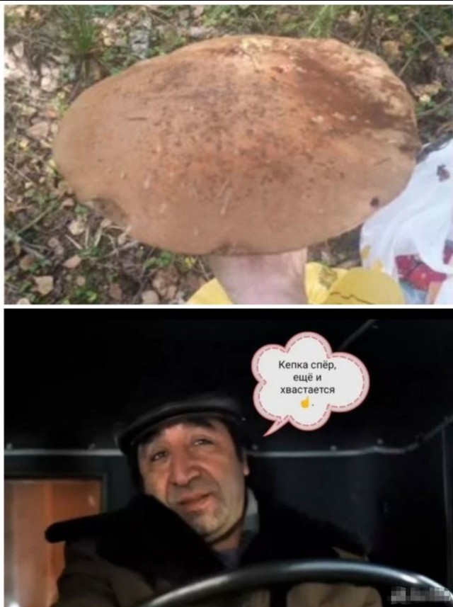 Природа. Урал