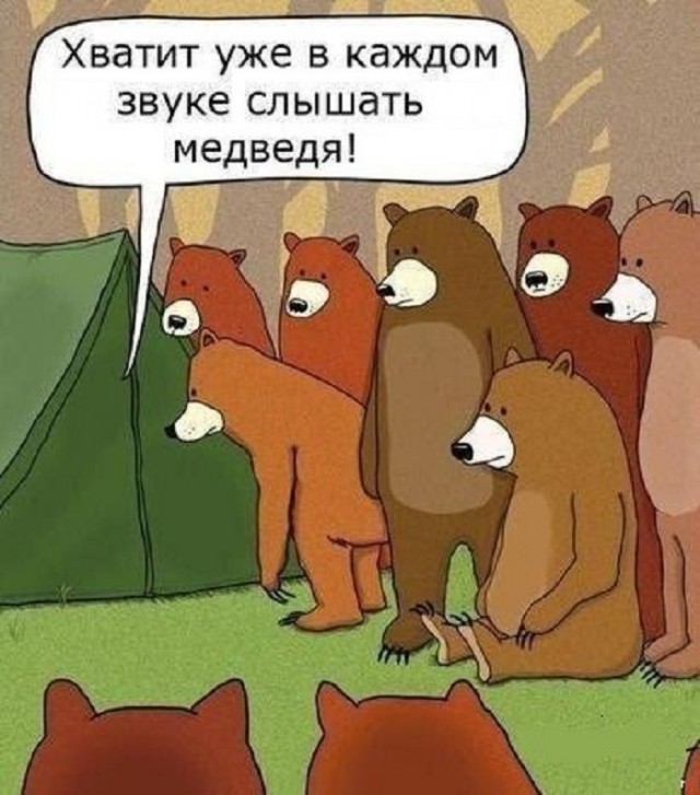 Хочешь утром вылезти из палатки, а там... медведь