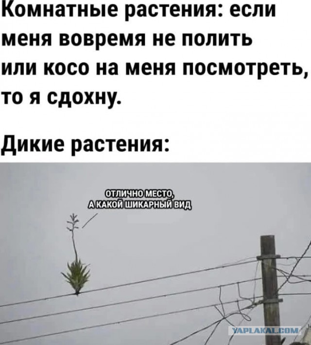 "Ты узнаешь ее из тысячи" Как распознать лесбиянку