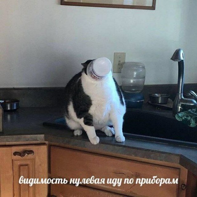 Всего понемногу. От 20.12