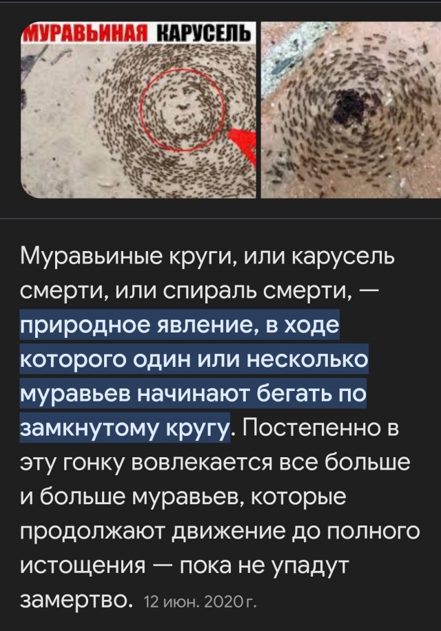 Что здесь происходит?!