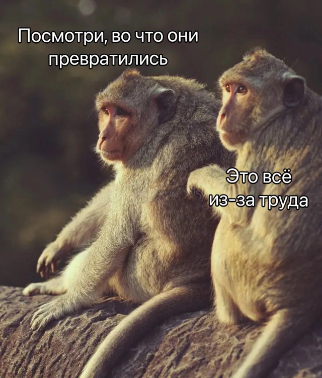 Мужики, идите сюда: тут какую-то непонятную хрень показывают