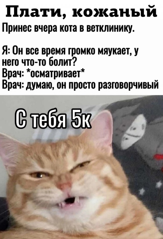Юмор в картинках и без
