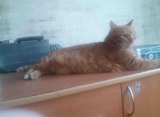 Подарочек