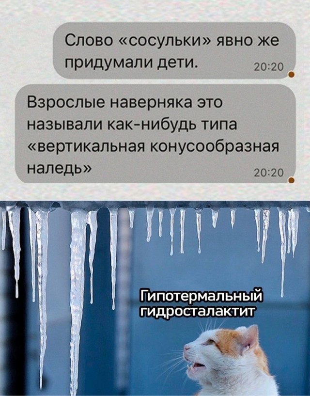 Так себе картинки 20.11.24