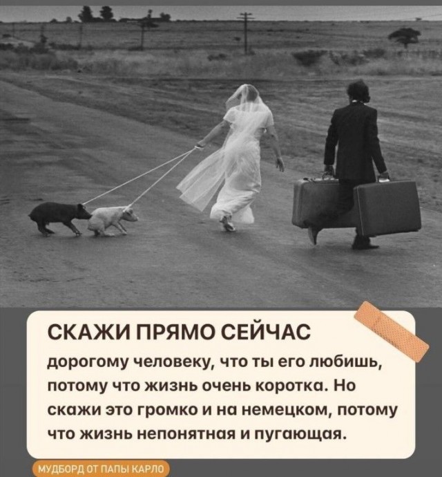 Прикольные и просто красивые картинки 22.11.2024