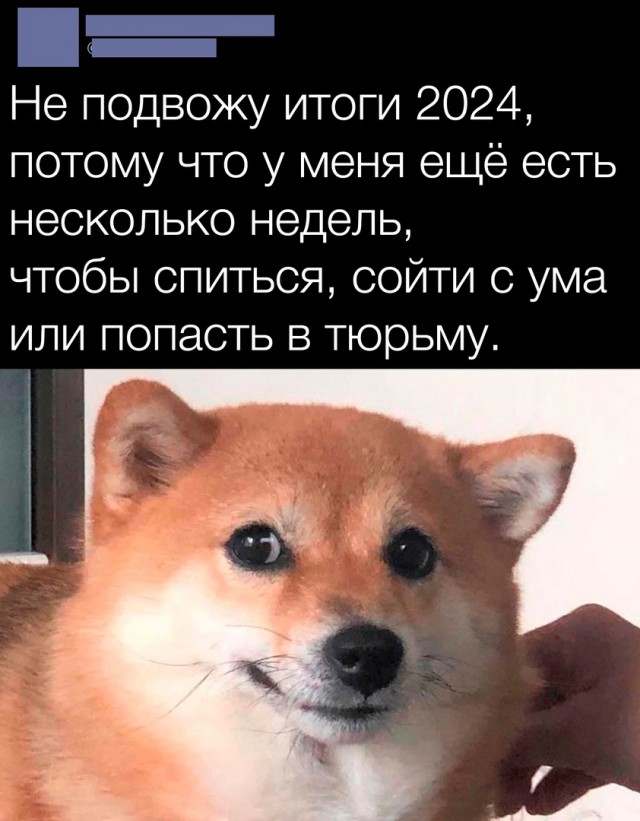 Так себе картинки 06.12.24