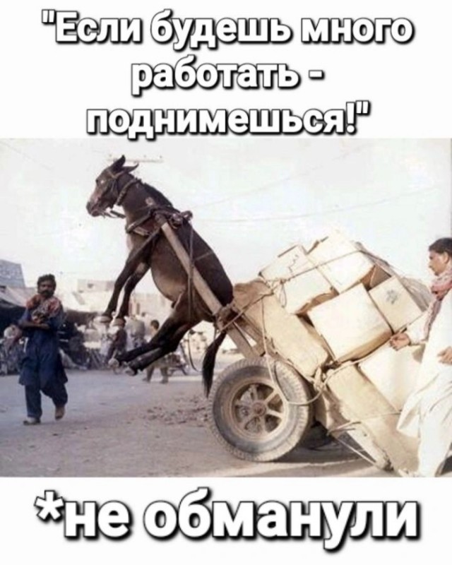 Картинки разные с надписями и без