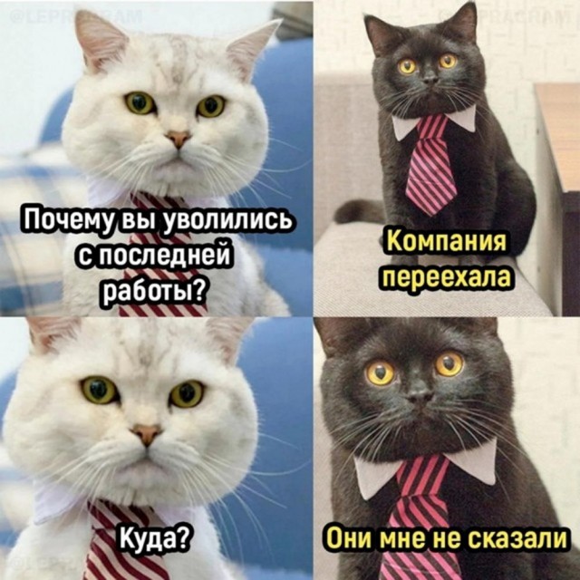 - Галя, у нас гангрена