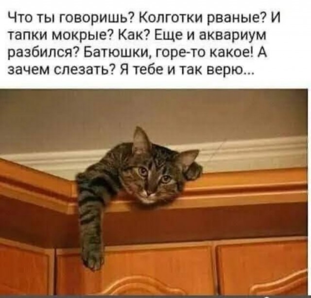 Завалялось тут случайно немного забавных картинок