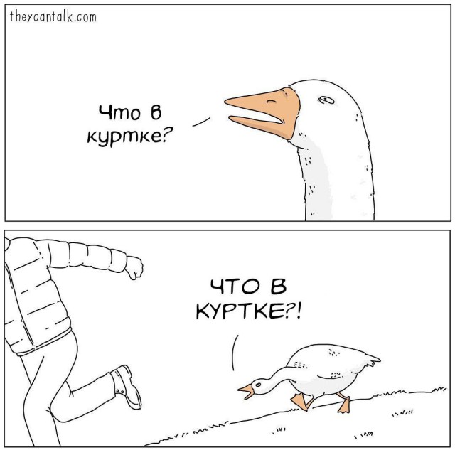 Картинки для деградации (разной степени свежести)