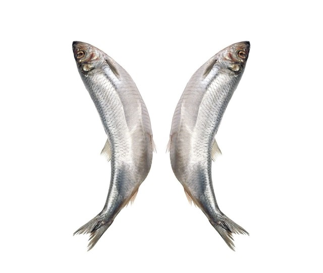 Картинки для деградации 7 (разной степени свежести)