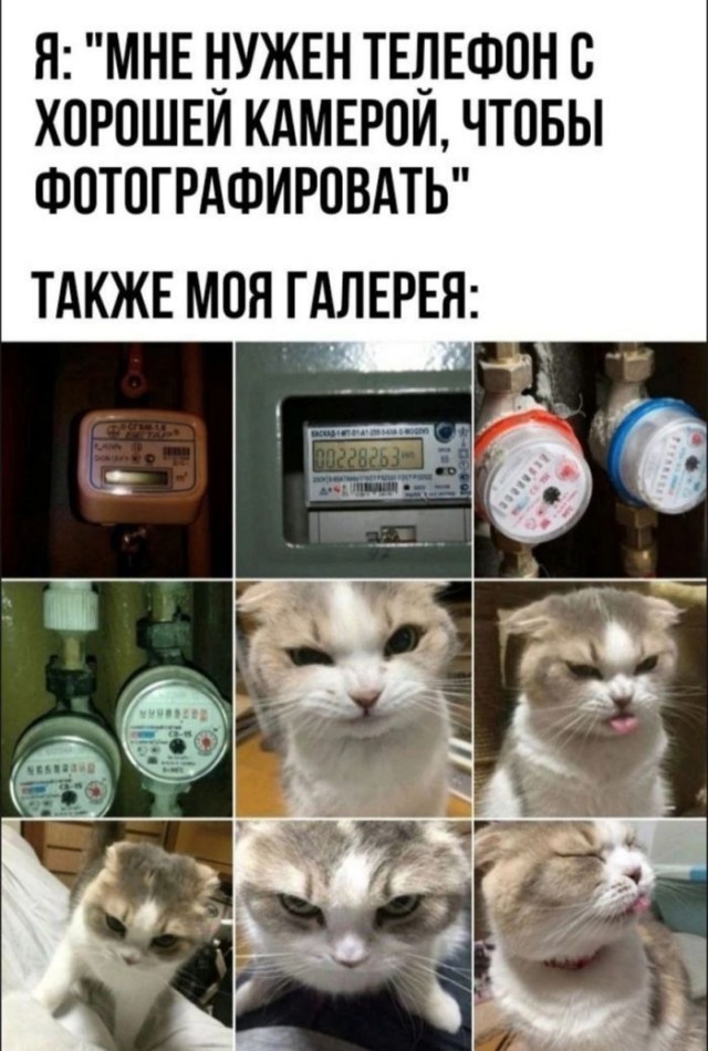 Картинки для деградации 21 (разной степени свежести)