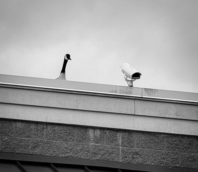 Так себе картинки 24.09.25