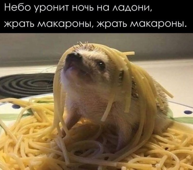 Маленькая пятница 1.10