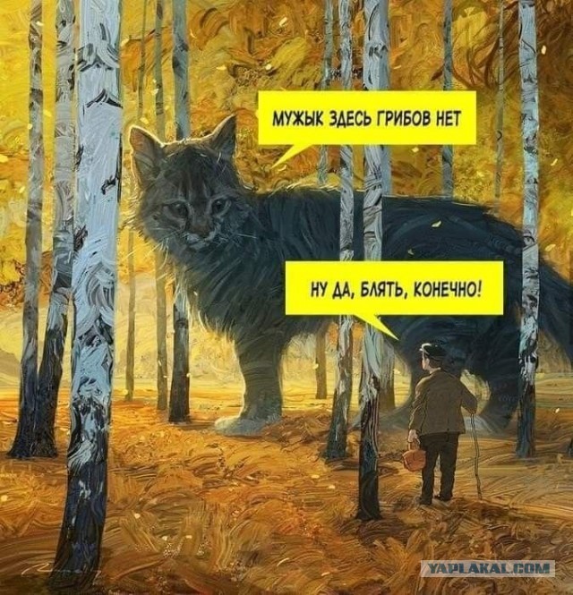 Черные грибы