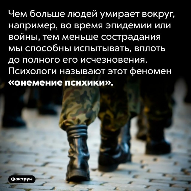 Куча-мала № 5